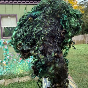 Hand Dyed Wool Locks Curls Teeswater Assorted Greens  Spinning Felting Fiber Arts