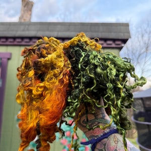 Hand Dyed Teeswater Wool Locks: Green, Olive, Gold, Brown Spinning Felting Fiber Arts