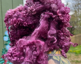Wool Locks Curls Teeswater Assorted Wines Pinks Spinning Felting Fiber Arts