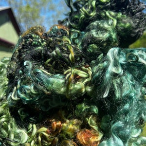 Hand Dyed Wool Locks Curls Teeswater Assorted Greens  Spinning Felting Fiber Arts