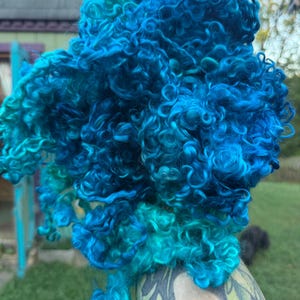 May include: A cluster of curly, raw wool locks dyed in vibrant shades of bright blue, deep navy, and turquoise. The fibers are long, spiraled, and densely packed, showcasing a rich, multi-tonal color gradient throughout the textured mass.