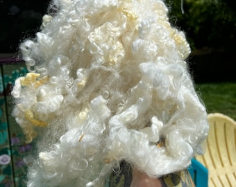 Wool Long Locks Curls Prime BFL/Teeswater Cross AAA +++ Spinning Felting Fiber Arts