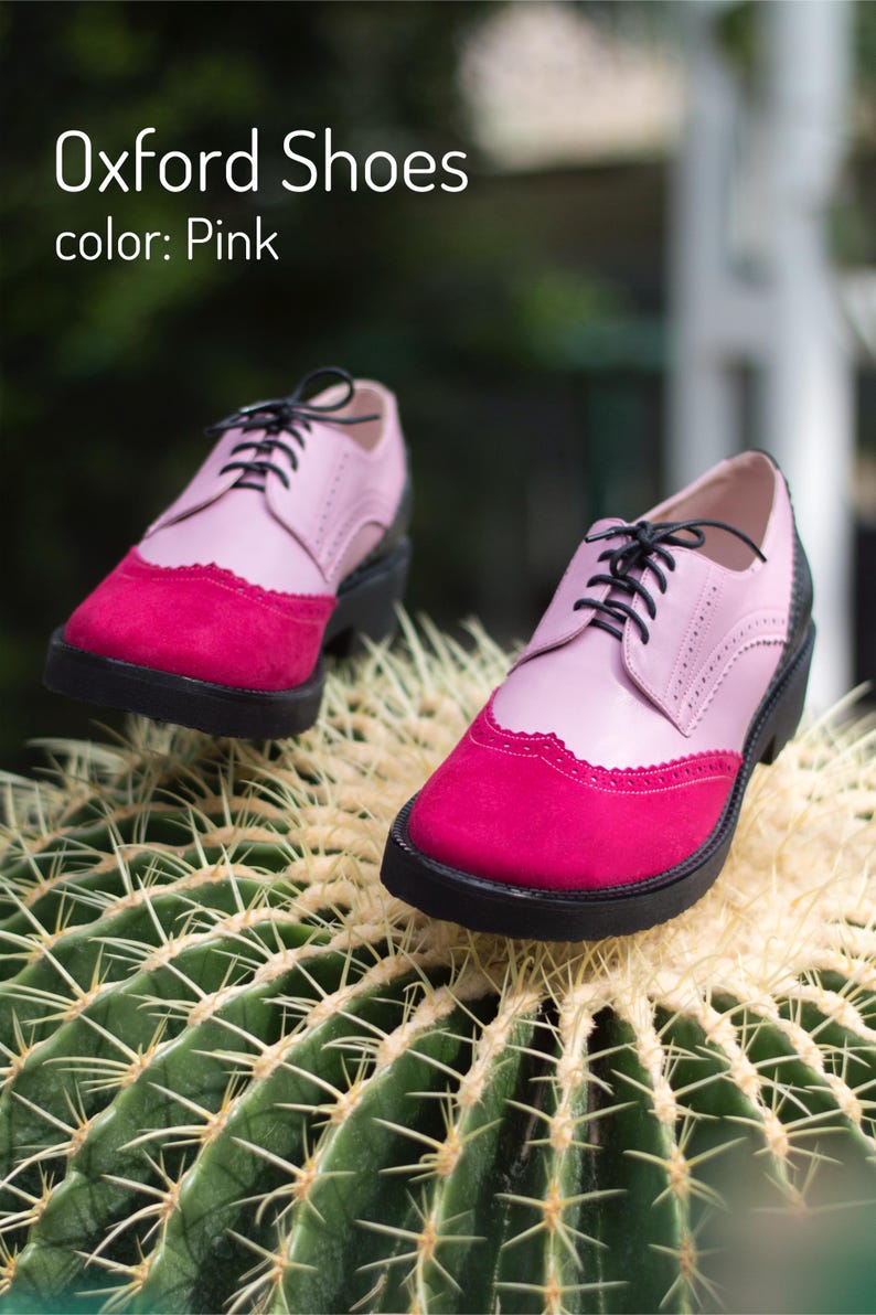 Pu&ograve; includere: Scarpe Oxford rosa con bordino nero e un design bicolore rosa e rosso. Le scarpe sono appoggiate su un cactus verde.