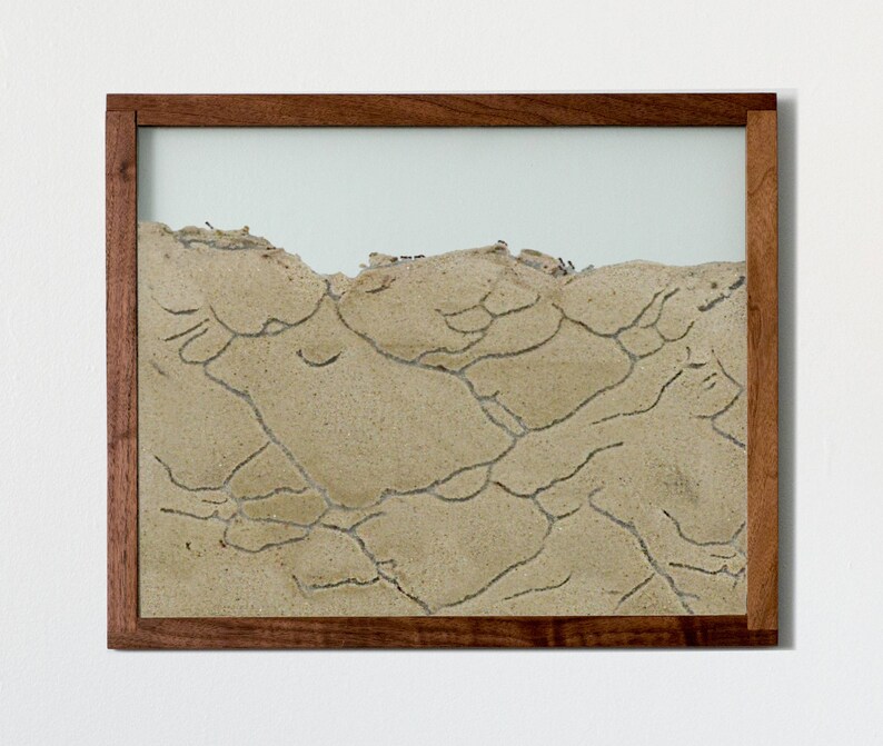 Wall Ant Farm Kit Wood Framed Art Image 0