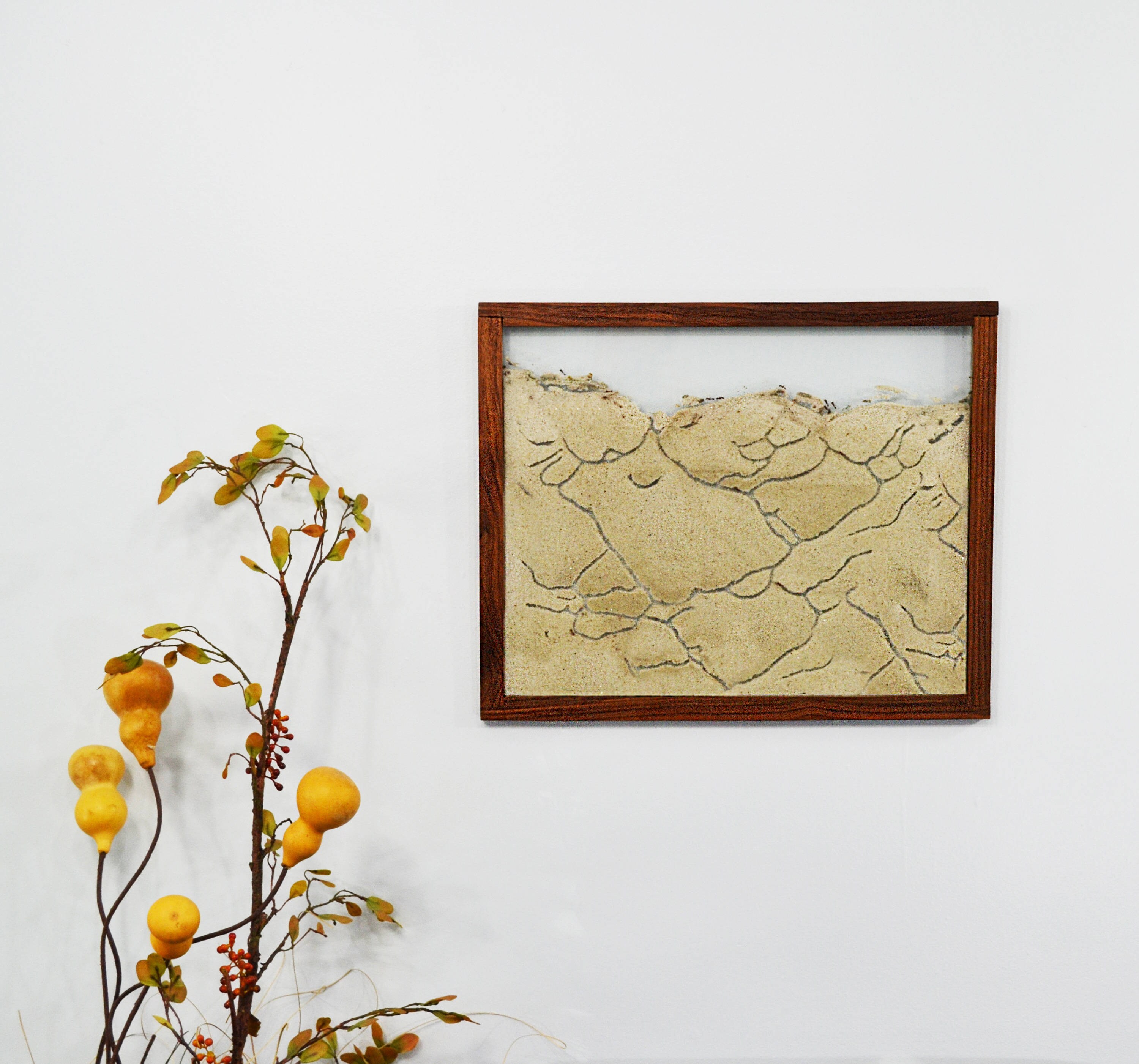 Walnut Wall Ant Farm Ant Farm Kit Wood Framed Wall Art Ant Etsy