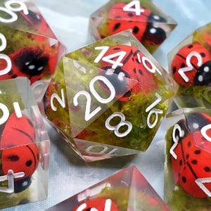 Könnte beinhalten: Nahaufnahme von mehreren polyedrischen Würfeln mit einem Marienkäfer-Thema. Die Würfel sind transparent mit weißen Zahlen und roten und schwarzen Marienkäfer-Einschlüssen. Die Würfel liegen in einem Bett aus grünem Moos.