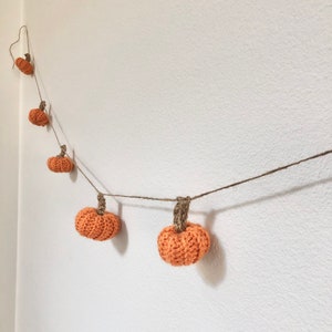 May include: A string of crocheted orange pumpkins hanging from a twine string against a white wall.