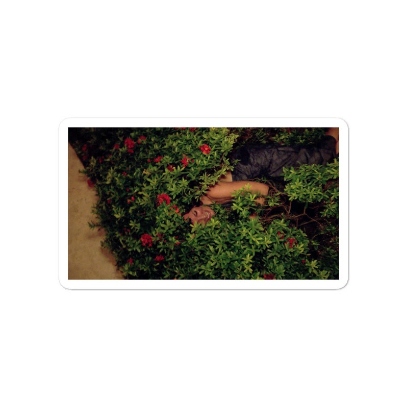 Luann In Rose Bush stickers Real Housewives of New York Inspired