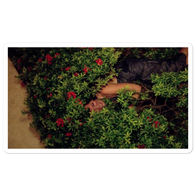 Luann In Rose Bush stickers  Real Housewives of New York Inspired