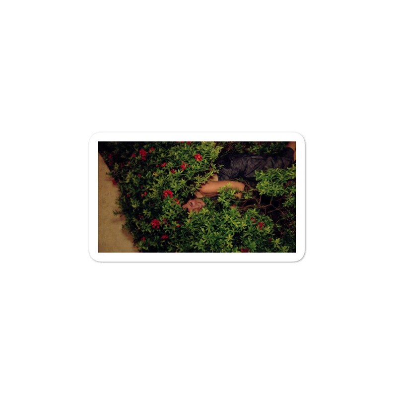 Luann In Rose Bush stickers Real Housewives of New York Inspired