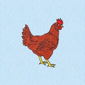 May include: A brown chicken with a red comb and yellow legs stands on a blue striped background.