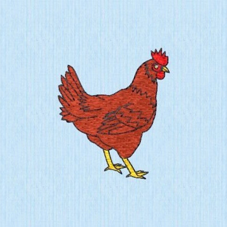 ExSmall Hen image 1