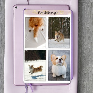 Corgi box stickers