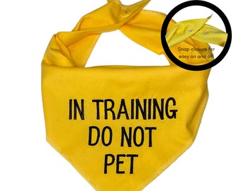 In training Do Not Pet dog bandana,dog in training,do not pet dog bandana,training dog scarf, yellow caution dog, do not pet my dog