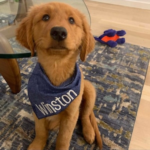 Custom dog bandana, New puppy bandana, new dog gift, Personalized embroidered Blue denim look cotton fabric Closure Dog Bandana snap closure