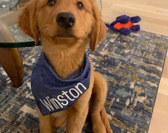 Custom dog bandana, New puppy bandana, new dog gift, Personalized embroidered Blue denim look cotton fabric Closure Dog Bandana snap closure