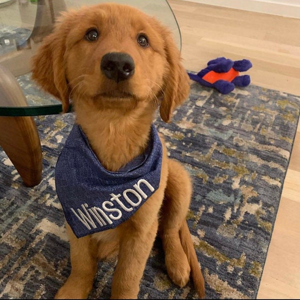 Custom dog bandana, New puppy bandana, new dog gift, Personalized embroidered Blue denim look cotton fabric Closure Dog Bandana snap closure