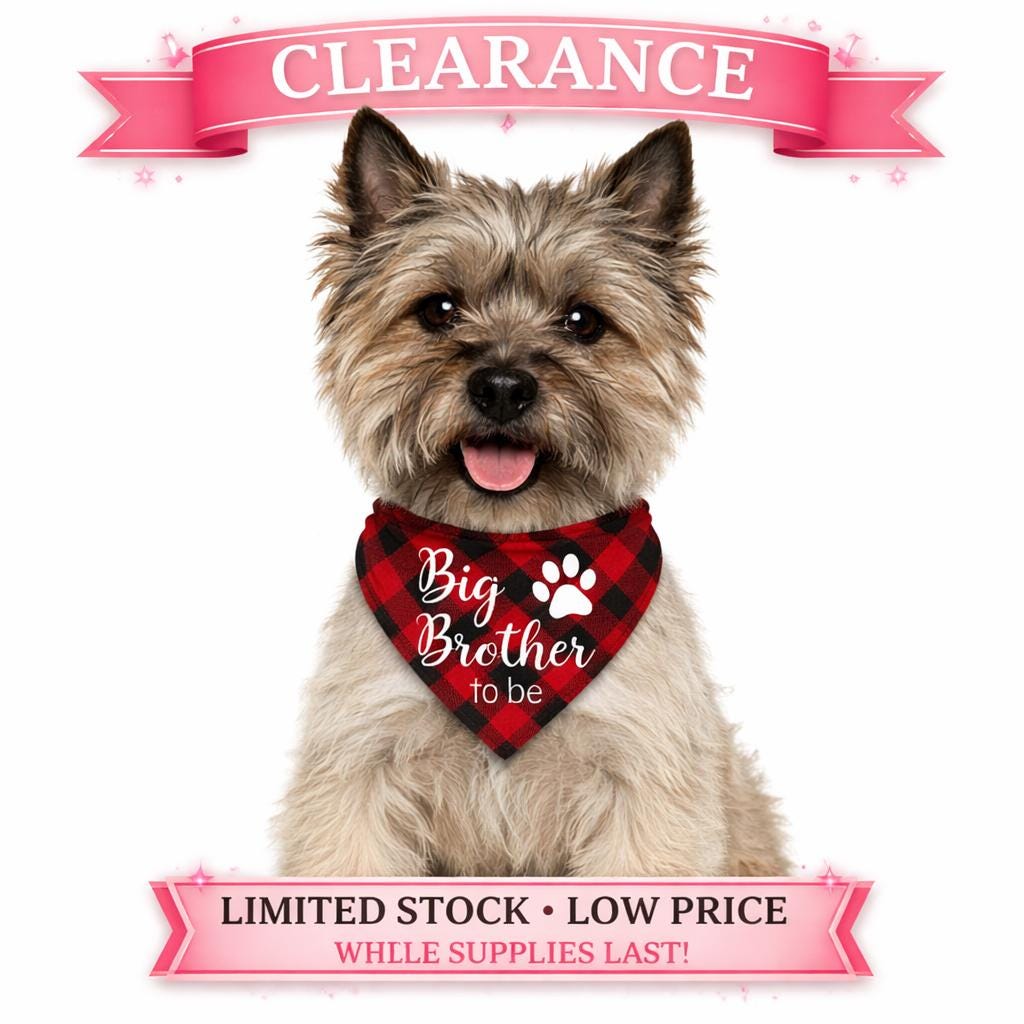 Big Brother To Be Dog Bandana, Pregnancy Announcement Medium Only Snap Closure Dog Scarf, New Baby Announcement Bib