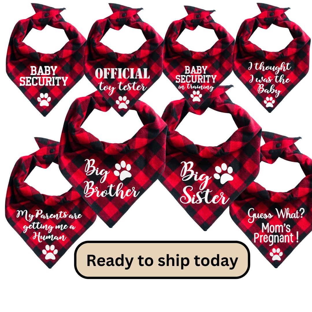 Pregnancy Announcement Dog Bandana, Ready to Ship Today,baby Security in Training Dog Pregnancy
