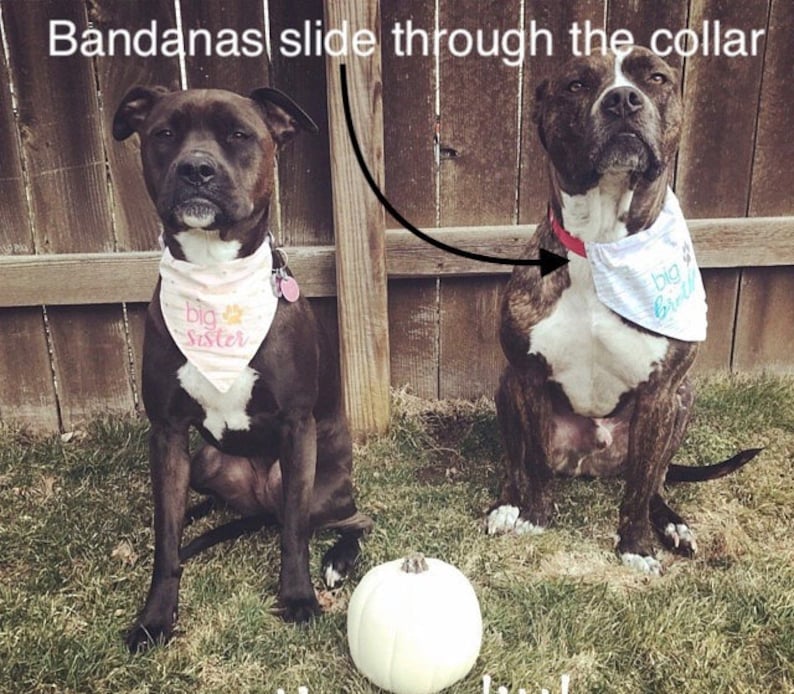 Set of 3 fashion Medium dog slip over the collar dog BandanasNew PuppyDog LoverAnimal lover gift