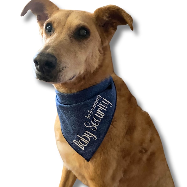 Pregnancy announcement dog bandana, ready to ship today,baby Security in training Dog Pregnancy Announcement Grandparents,Big Brother dog