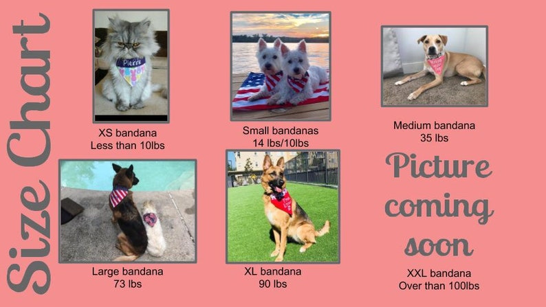 Set of 3 fashion Medium dog slip over the collar dog BandanasNew PuppyDog LoverAnimal lover gift