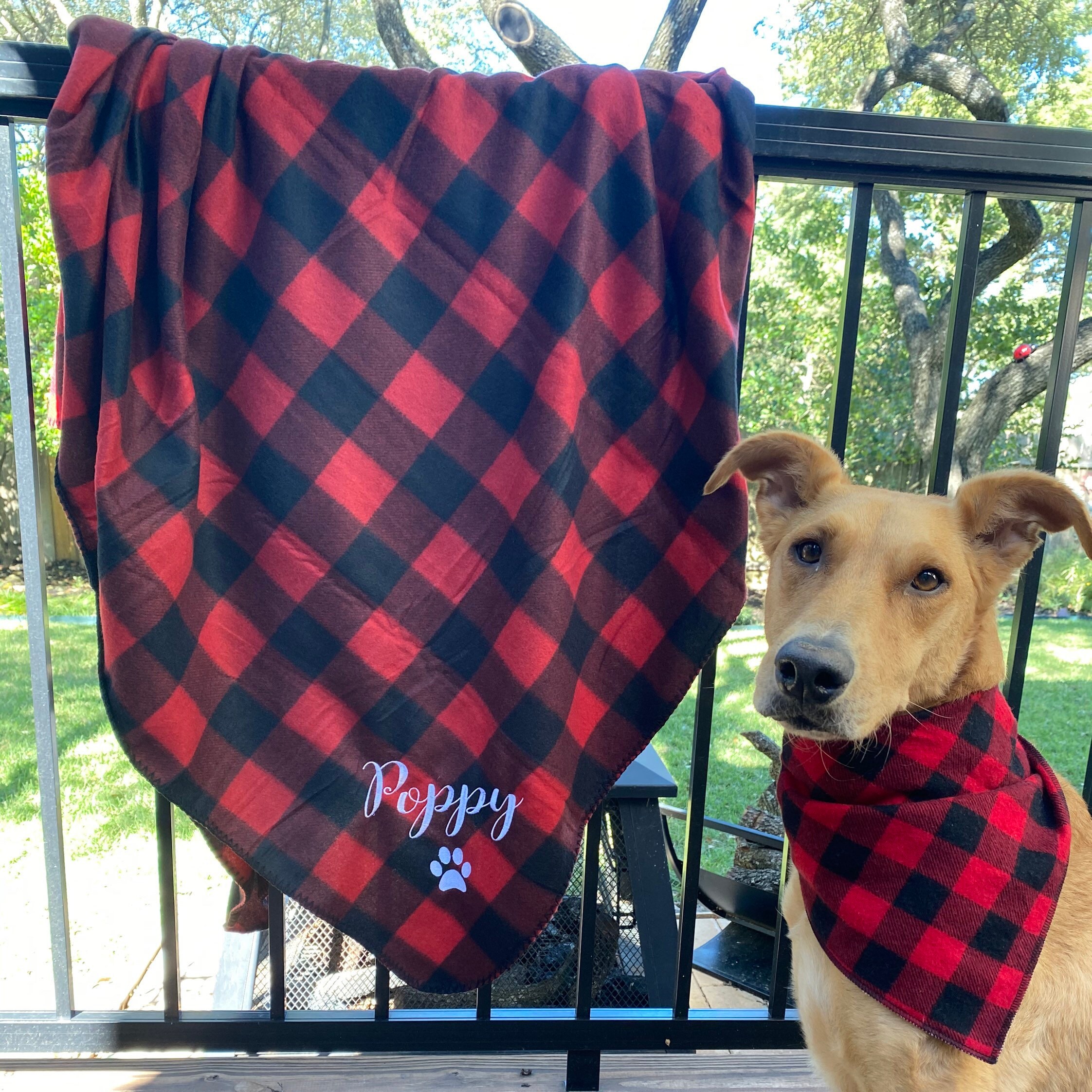 lightweight dog blanket