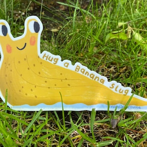 Puede incluir: Una pegatina de babosa de plátano amarilla con el texto "Hug a Banana Slug" sobre un fondo de hierba verde.