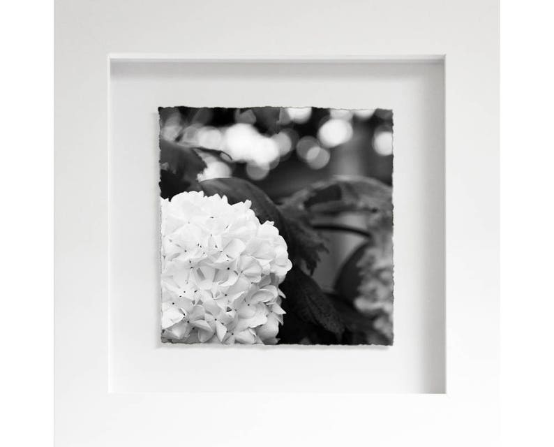 Floral 06 Framed Photography Flowers Black & White Home Etsy