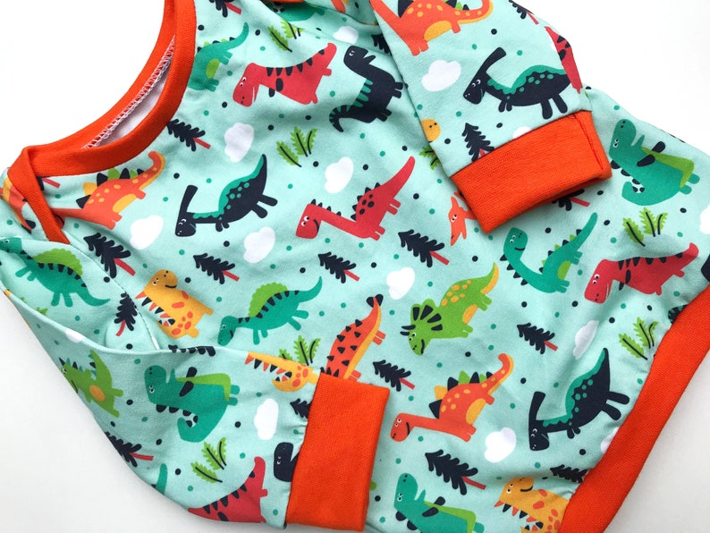 Baby shirt DINO long sleeve shirt sweater