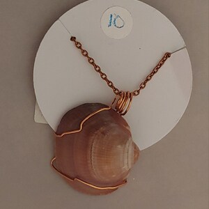 Wire Wrapped Seashell Necklace