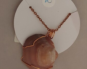 Wire Wrapped Seashell Necklace