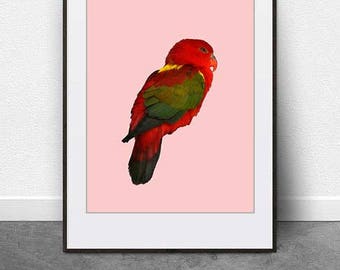 Papagaio vermelho rosa, download DIGITAL, fotografia de pássaros, belas artes, arte para impressão, natureza, arte animal, fotografia, pássaro vermelho, decoração de berçário, arte