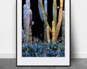 Cactus Dreaming, download DIGITAL, arte para impressão, arte de cactos, fotografia de cactos, cactos, natureza, botânico, cores escuras, arte de jardim de cactos, arte