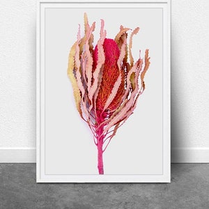 Banksia, DIGITAL Art,Instant Download, Flower Art Print, Botanical Art, Australian Native Flower Art, Printable Art, Single Flower Print,