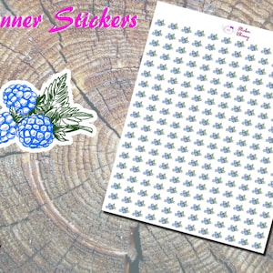 Stickers d'agenda bleu framboise, Stickers imprimés, Stickers mignons, Stickers fruits, Stickers baies, Stickers feuilles vertes, Stickers nourriture,