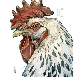 STAMPA A5  firmata, Gallo, Stampa giclée, ritratto di animali, illustrazione, decorazione, arte animale, acquerello, disegno a china, regalo