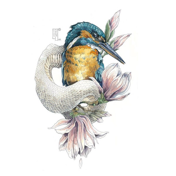 "Blossom" édition limitée PRINT, oiseau martin-pêcheur, imprimé giclée, art animalier, art mural, aquarelle, dessin à l'encre