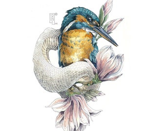 PRINT Limited Edition " Blossom ", Kingfisher bird, Giclée print, nature illustration, home decor, wall art, watercolor, ink drawing, gift