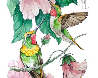 PRINT limited edition "Hummingbirds and hibiscus", Giclée print, home decor, animal art, gift, wall art, illustration, watercolor painting