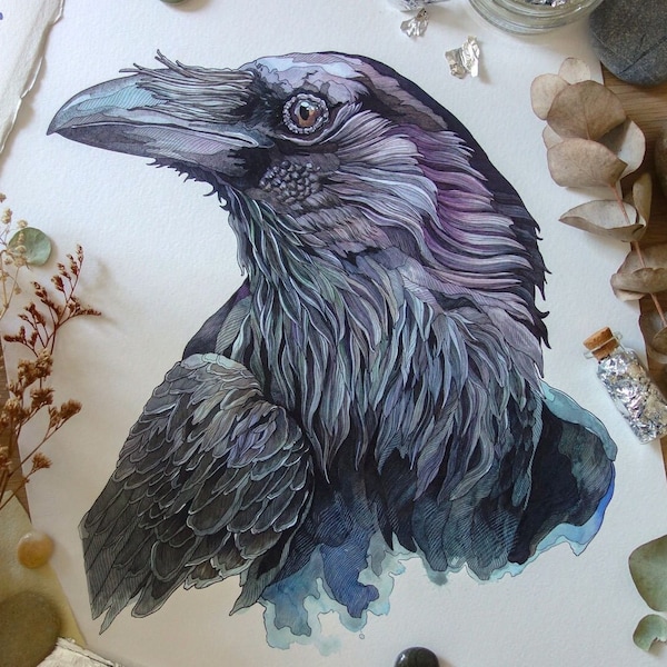 LIMITED EDITION PRINT "Crow", vogel, giclée print, illustratie, dierlijke kunst, kunst aan de muur, aquarel, inkttekening, cadeau