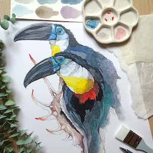 STAMPA edizione limitata "Ramphastos vitellinus", Tucano, Stampa giclée, uccello tropicale, illustrazione, arte animale, acquerello e china