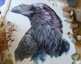 PRINT Limited Edition " Raven ", black bird, Giclée print, fine art, nature illustration, home decor, wall art, watercolor, ink drawing