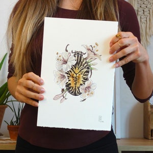 ORIGINAL DRAWING "Gymnetis stellata", animal art, beetle, mixed media artwork: watercolor and ink drawing on paper, nature illustration