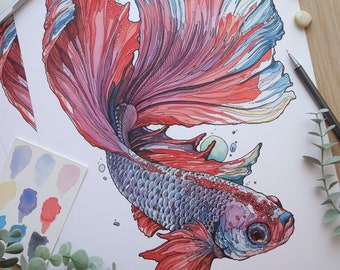 PRINT limited edition "Siamese fighting fish", Giclée print, art, home decor, animal art, gift, wall art, watercolor painting, ink drawing