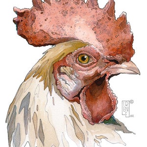 STAMPA edizione limitata "Gallo rosa",Stampa giclée, home decor, illustrazione, arte animale, uccello, acquerello, disegno, regalo