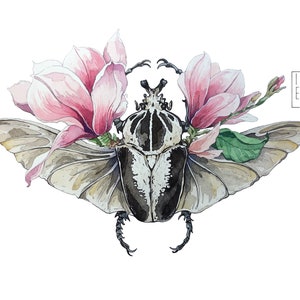 STAMPA edizione limitata "Goliathus orientalis",scarabeo e fiori di magnolia, Stampa giclée, home decor, illustrazione, arte animale, regalo