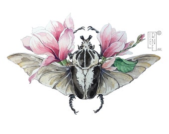 IMPRESIÓN DE EDICIÓN LIMITADA "Goliathus orientalis", flores de escarabajo y magnolia, impresión giclée, decoración del hogar, ilustración, arte animal, regalo