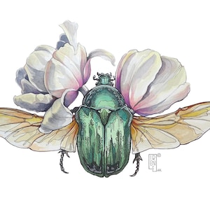 STAMPA A5 Cetonia aurata e tulipani, Stampa giclée, illustrazione di animali, scarabeo e fiori, arte animale, acquerello, disegno, regalo