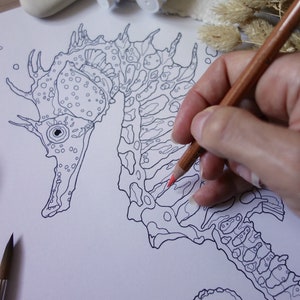 May include: A black and white line drawing of a seahorse on white paper. A hand is coloring the seahorse with a red colored pencil.